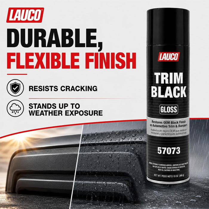 LAUCO Trim Black Gloss Automotive Spray Paint – 13 oz Aerosol Can for Plastic, Aluminum, Steel & Stainless Steel Trim – Durable OEM Finish 57073